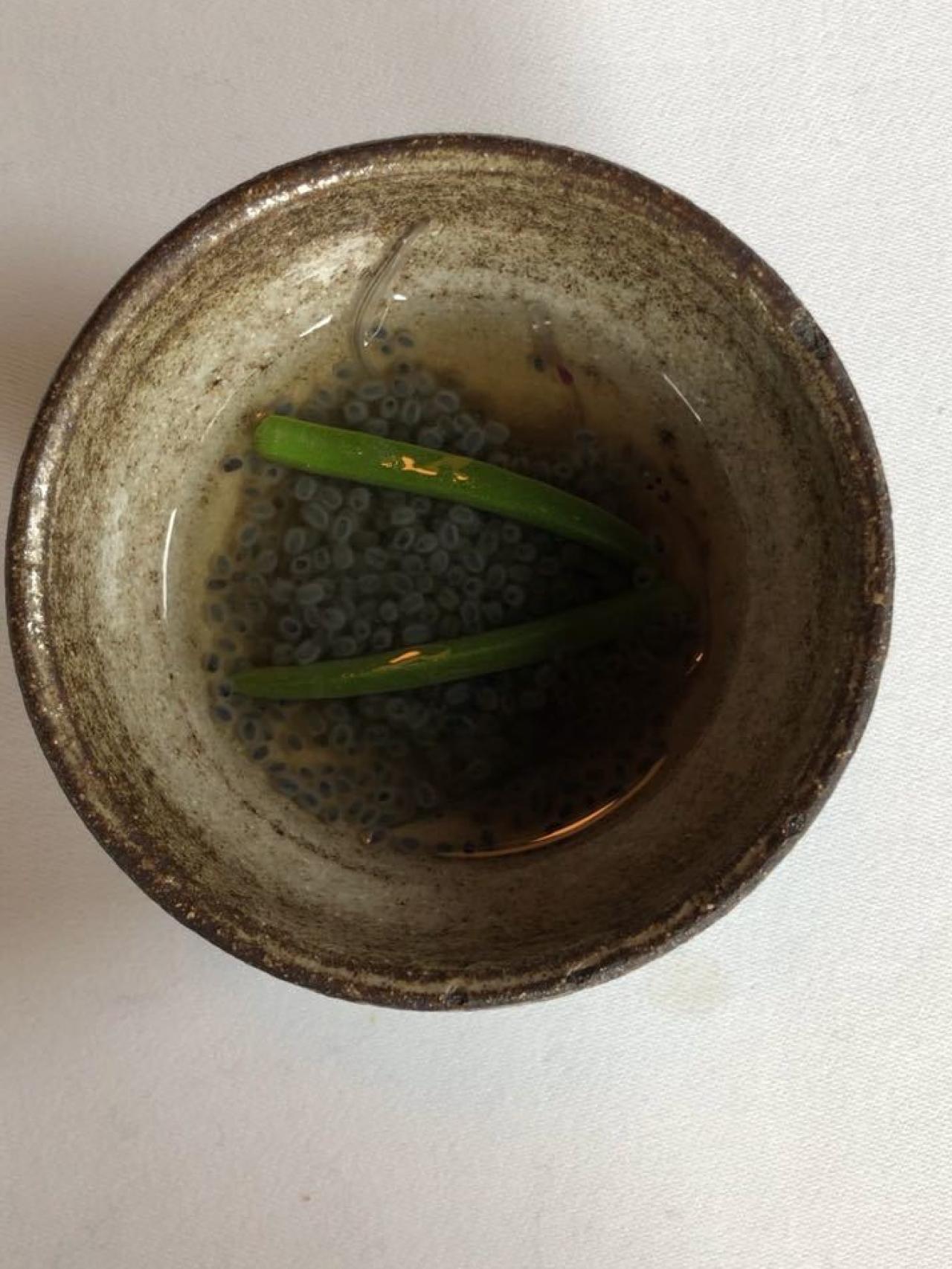 Las angulas saltarinas de Andoni Luis Aduriz