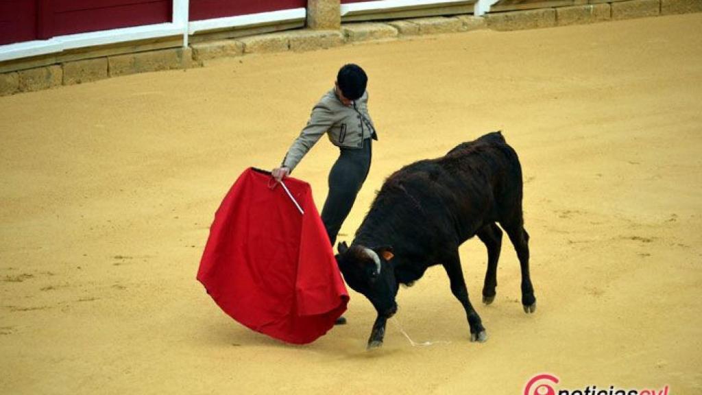 zamora bolsin taurino (8)