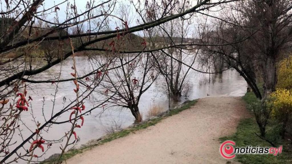 zamora-crecida-duero