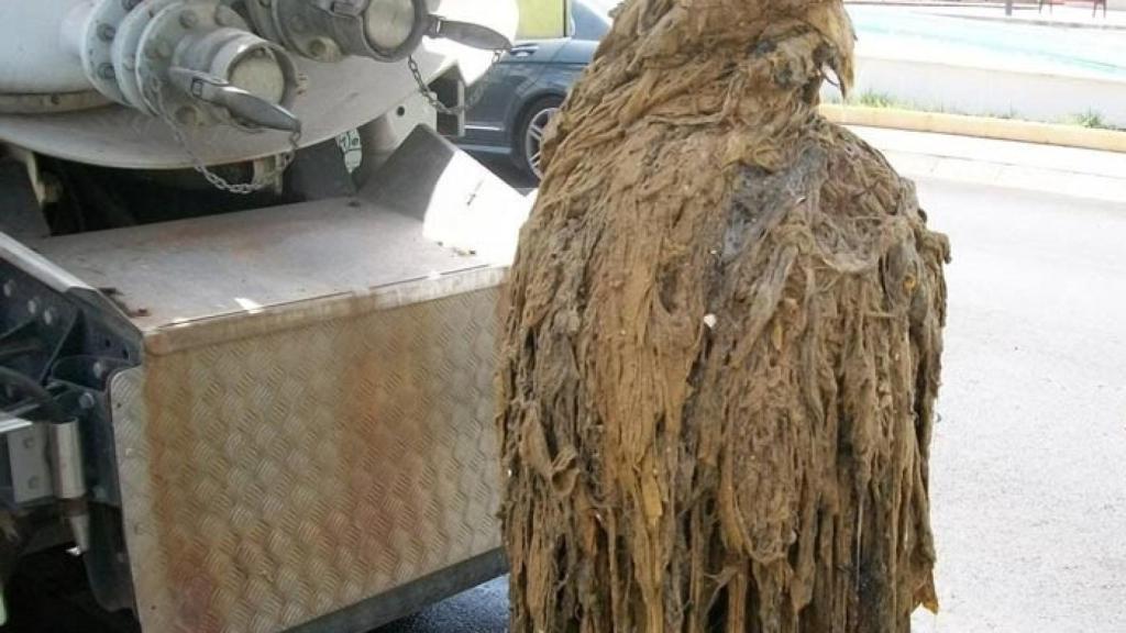 P tapones-tuberias-toallitas