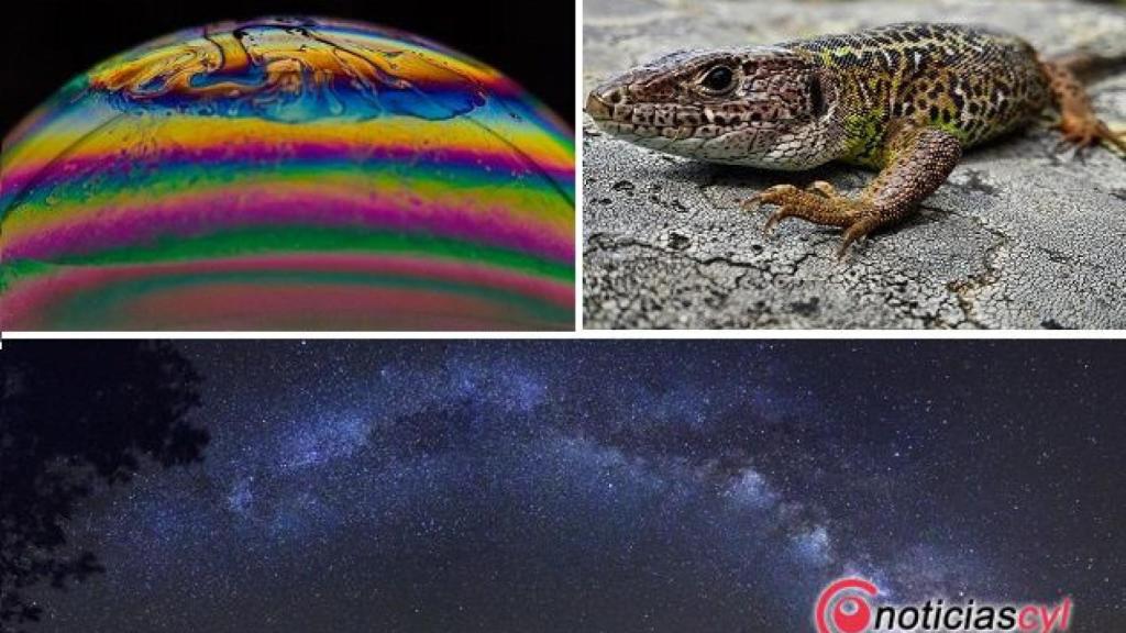 fotografia cientifica