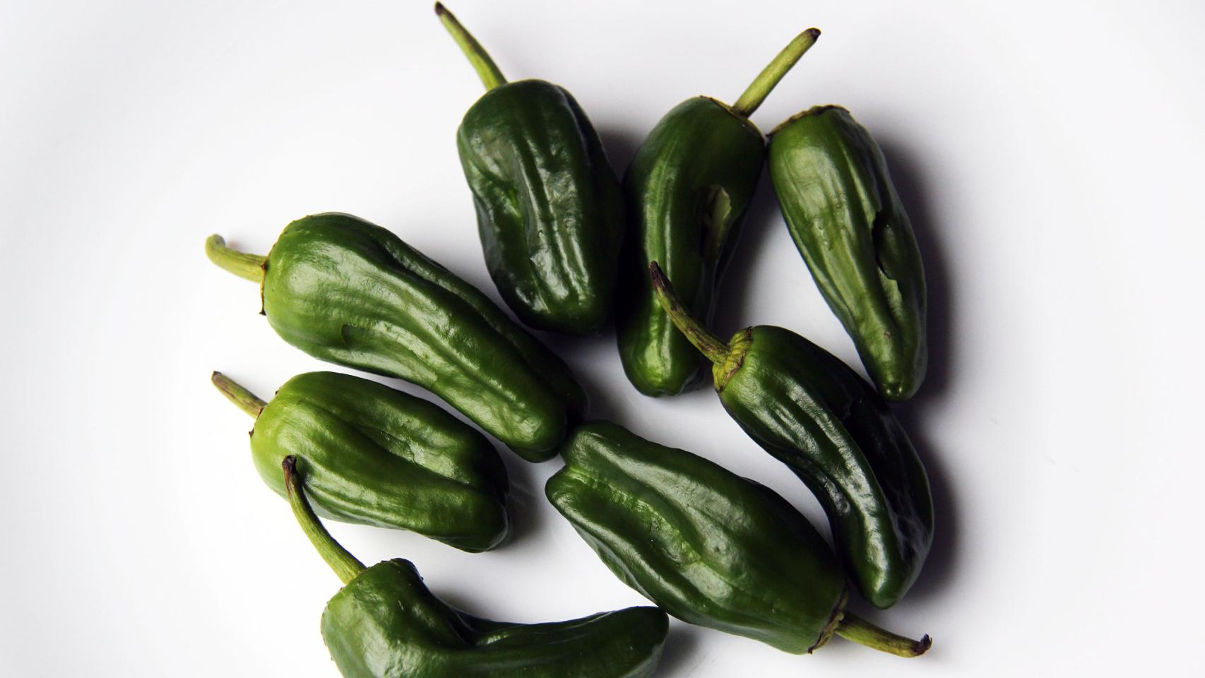 HAMBURGUESA DE SALMÓN Y GAMBAS CON SALSA ROSA EXPRES 04