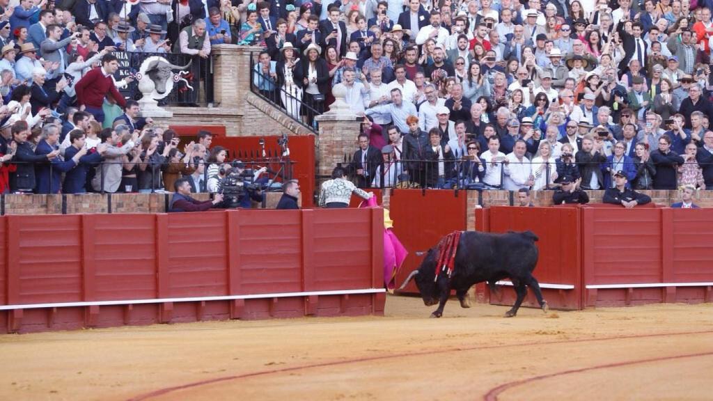 juli sevilla garcigrande 3