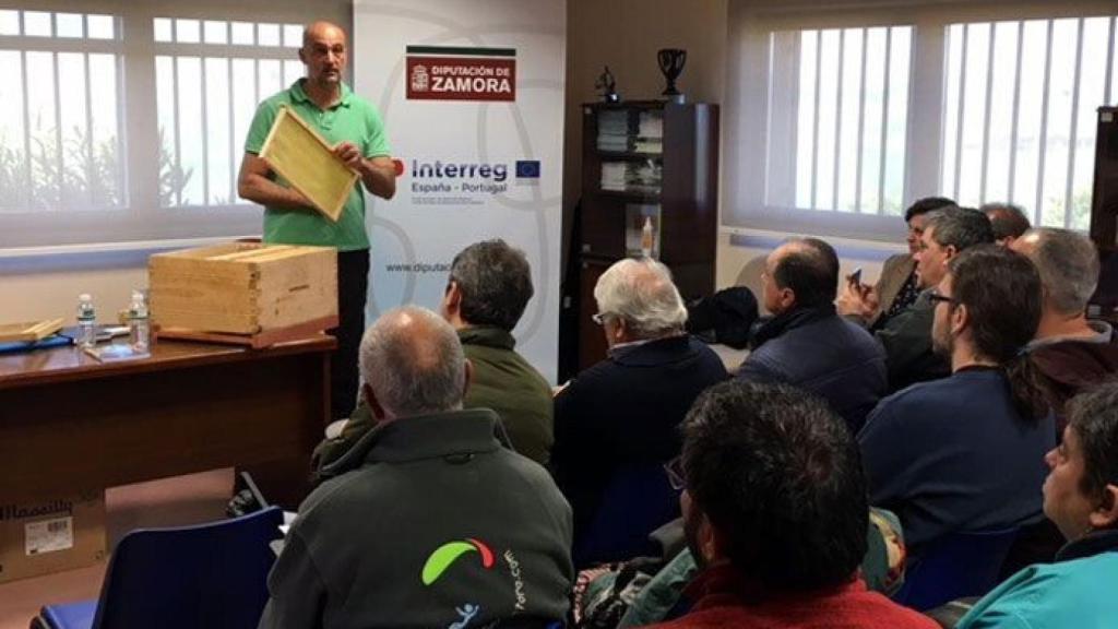 zamora-madridanos-apicultur