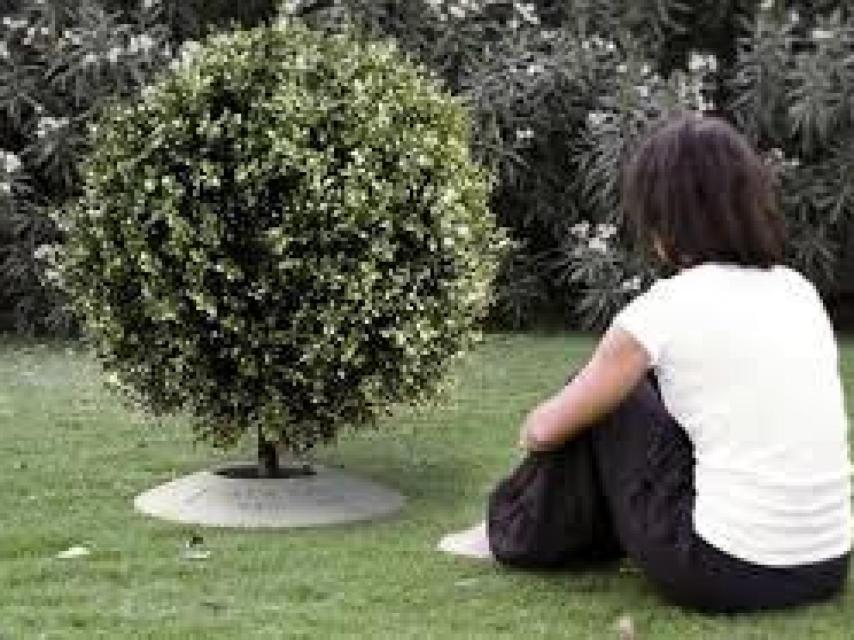 La moda de enterrar las cenizas en árboles.