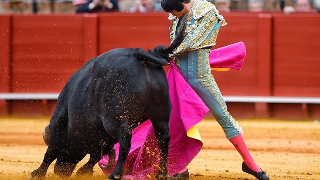 Templada media de Ginés Marín