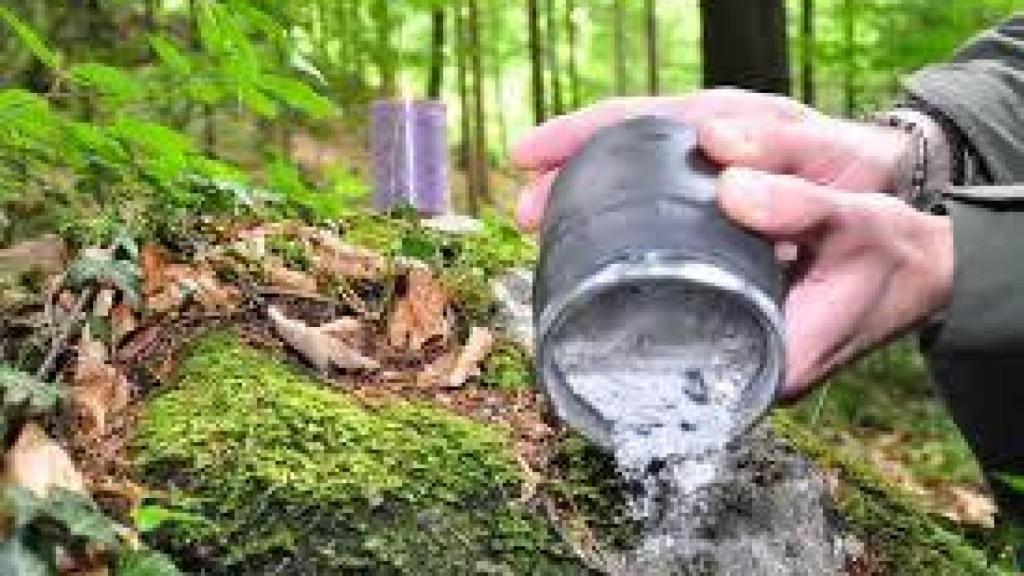 La guerra por las cenizas del señor Clemente: las quería en un árbol y acabaron en latas de conserva