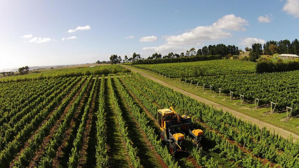 Tasmania Riversdale Estate