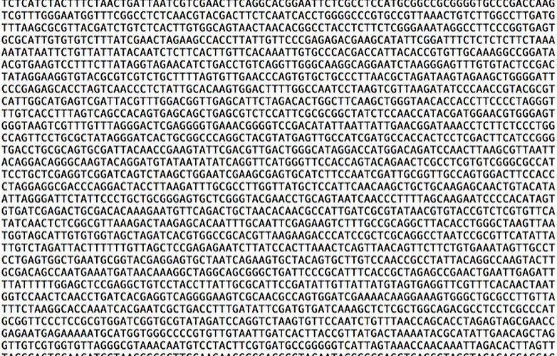 massive attack disco adn 1