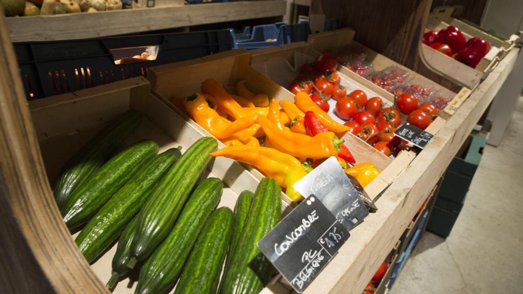 Alimentos orgánicos.