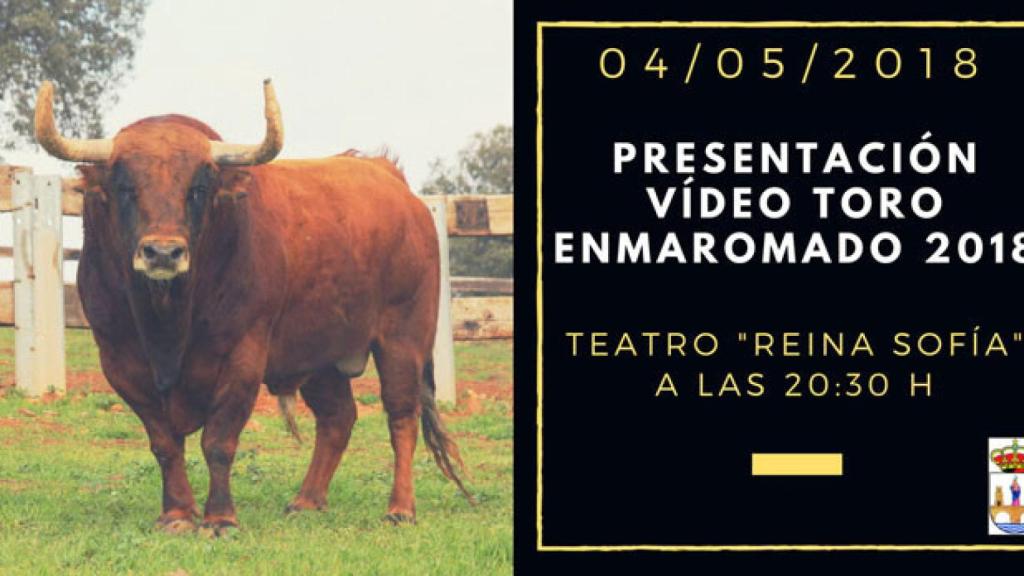 zamora benavente video toro enmaromado