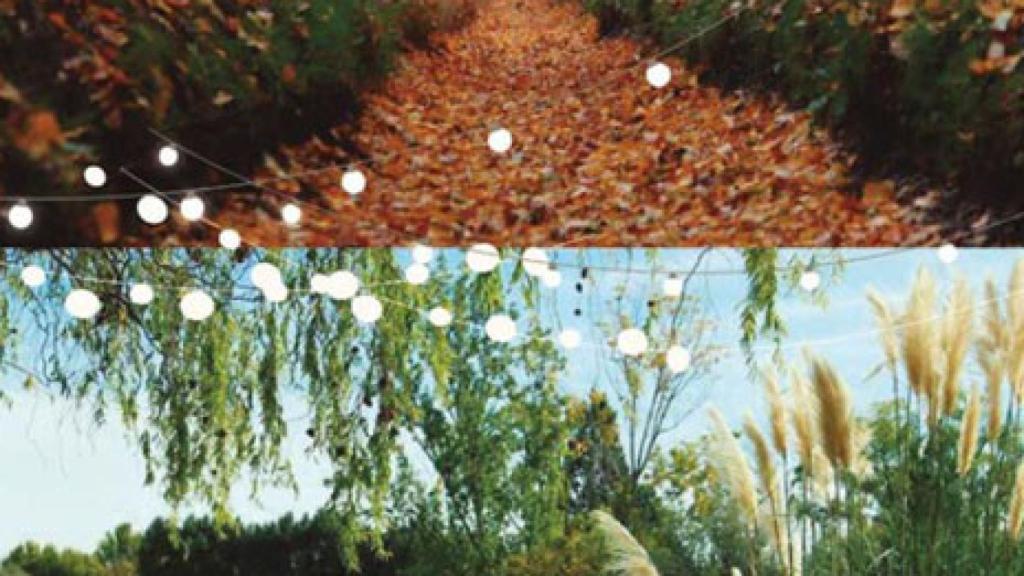 Valladolid-laguna-programa-san-pedro-regalado