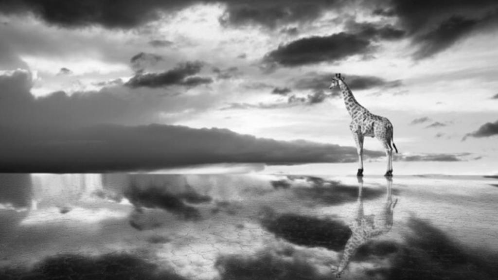 Leon-exposicion-imagenes-ser-humano