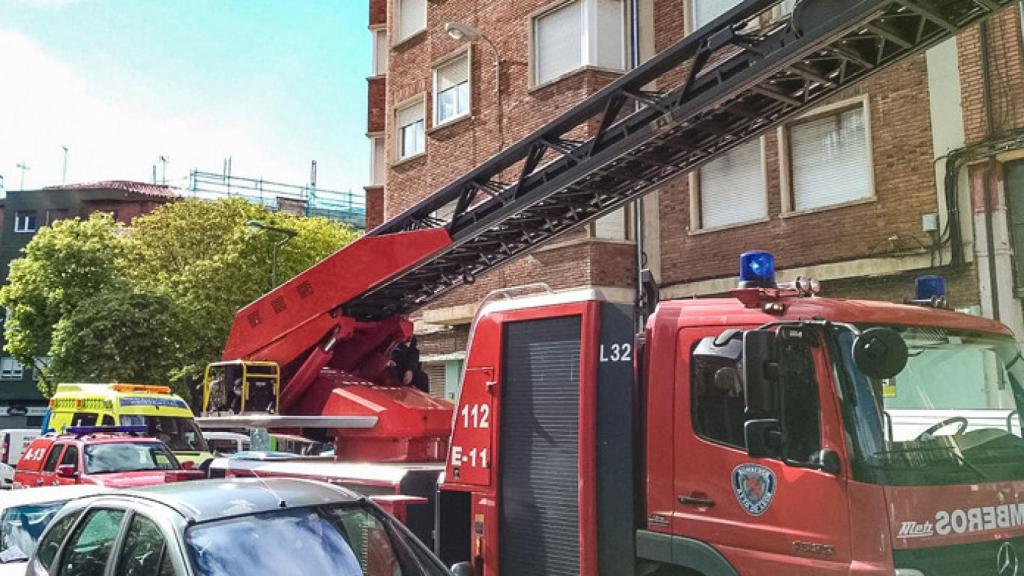 Leon-bomberos-rescate-persona-desorientada