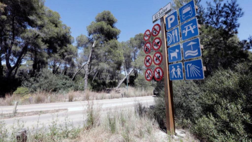 La Dehesa de El Saler, donde ha sido hallada una mujer herida.