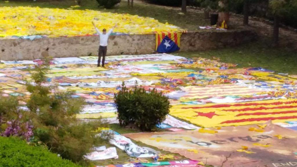 El botín de una productiva noche de limpieza