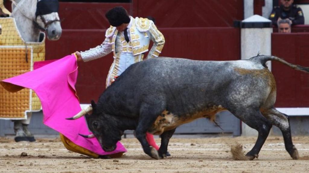 Bonita larga de Juan Bautista