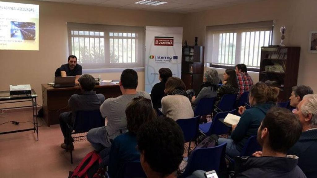 zamora diputacion jornadas produccion ecologica avicultura (2)