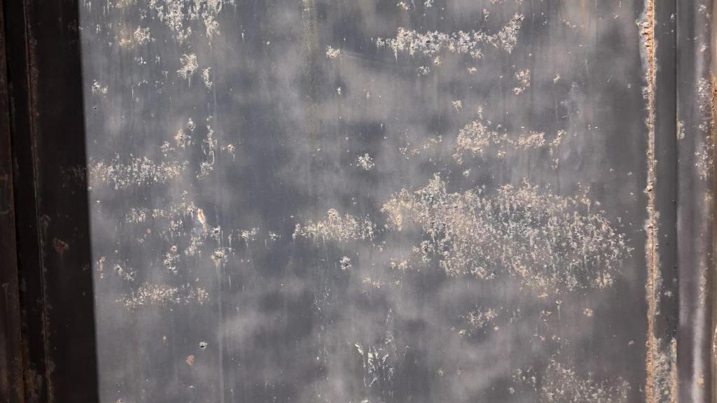 'La Gaviota' de Antonio Banderas.