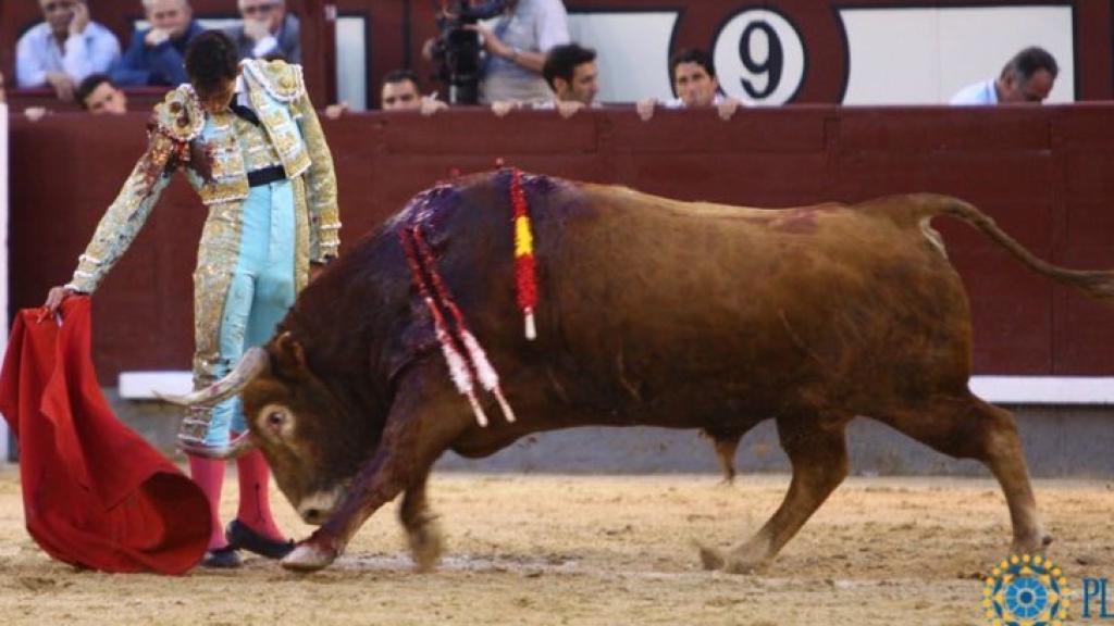 Aplomado derechazo de Fortes al sexto de una corrida lamentable de Pedraza de Yeltes