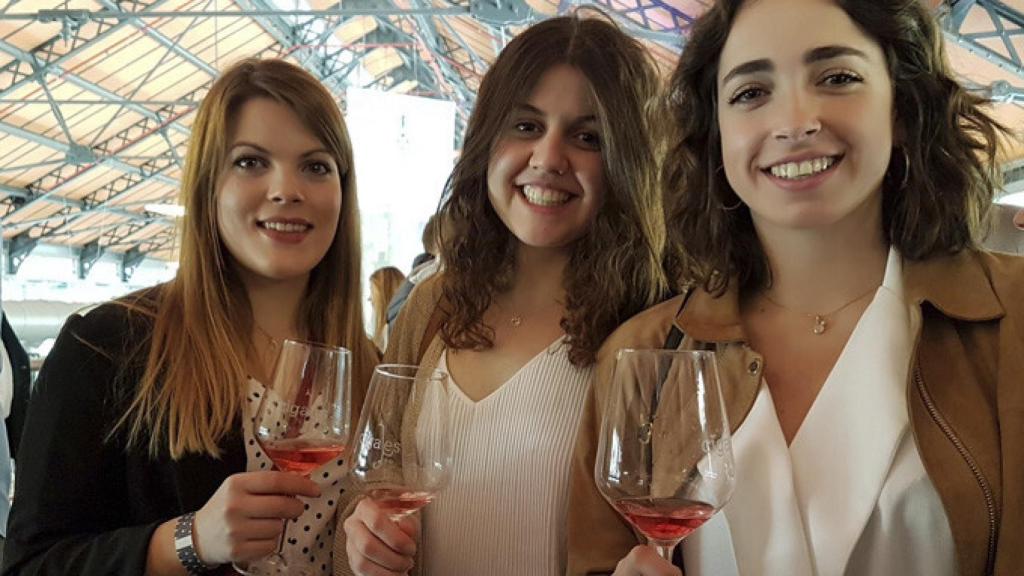 Valladolid-cigales-do-vinos-brindis