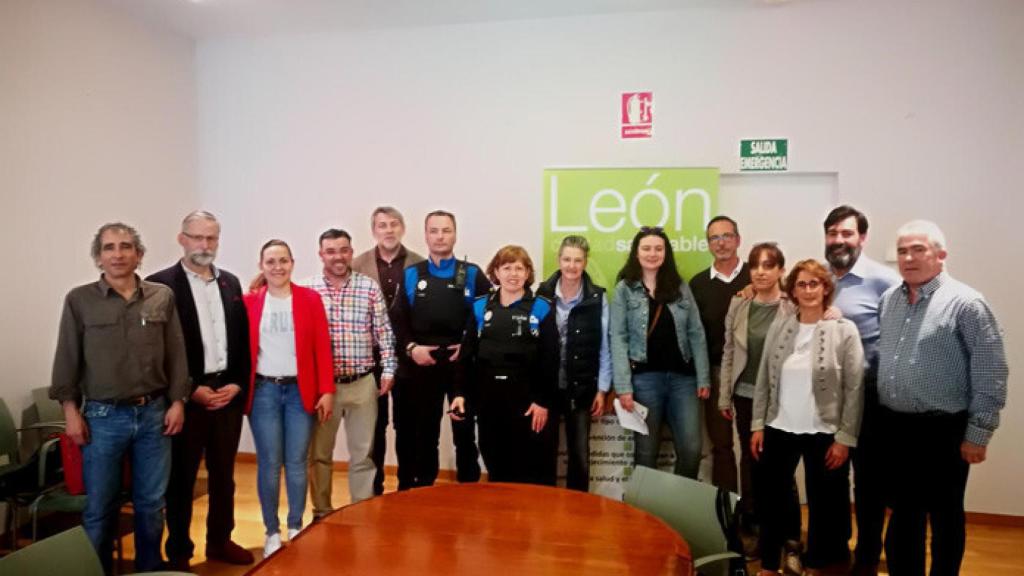 Leon-control-felino-gatos-grupo-trabajo