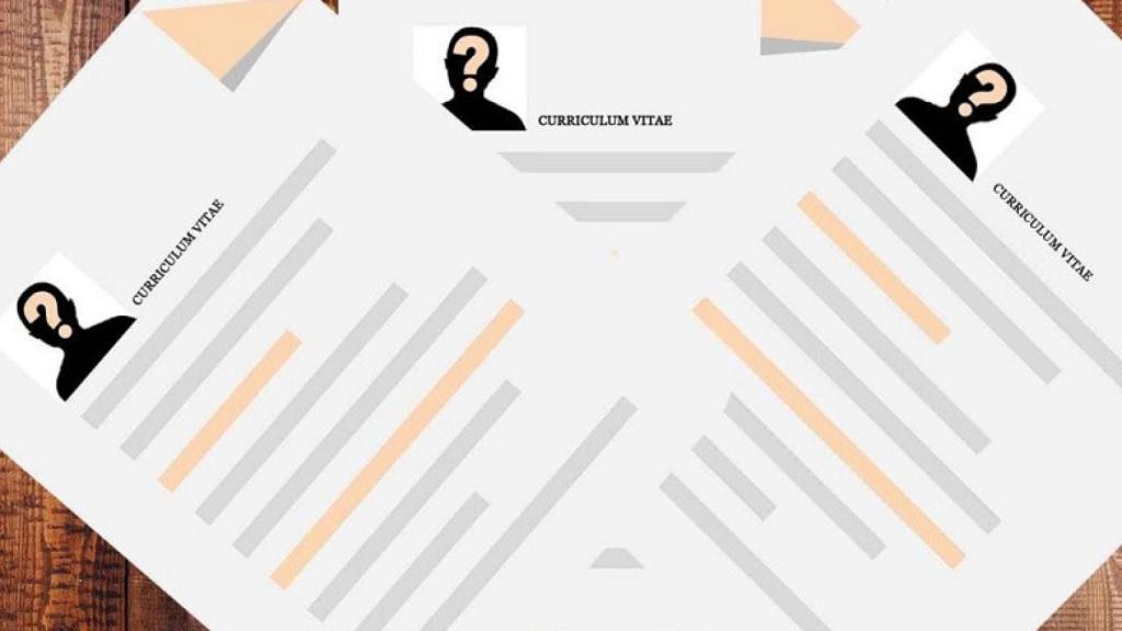 01 curriculum vitae