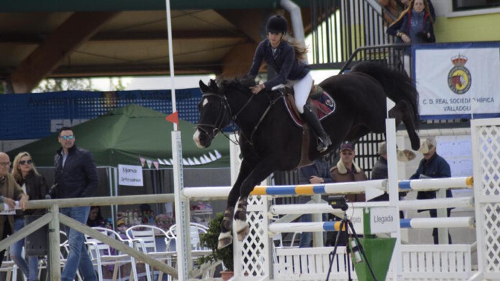 Valladolid-jinete-caballo-homenaje