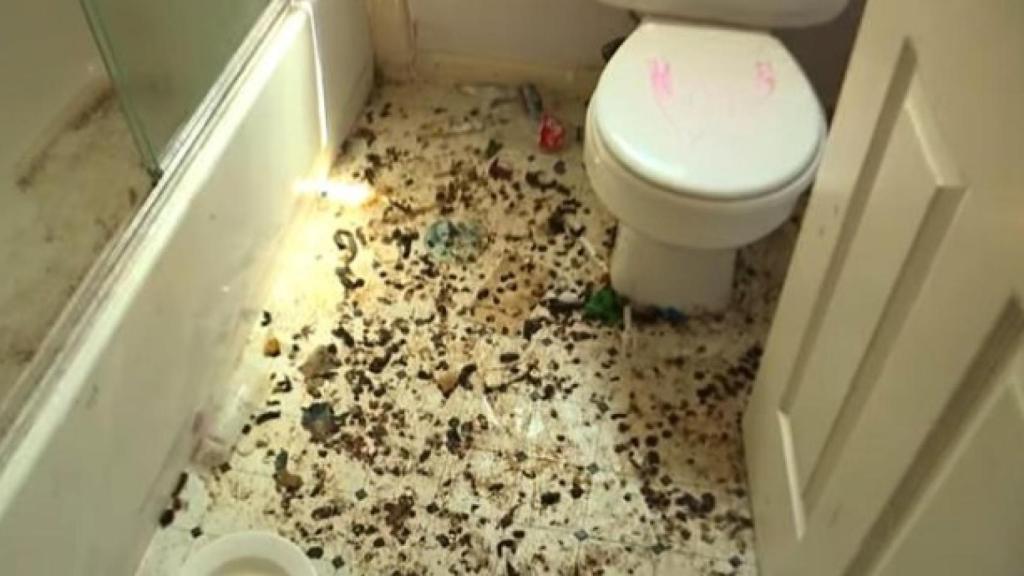 El baño, lleno de excrementos.