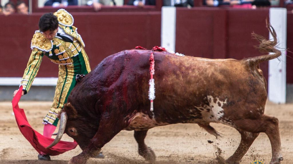 juan del alamo ventas