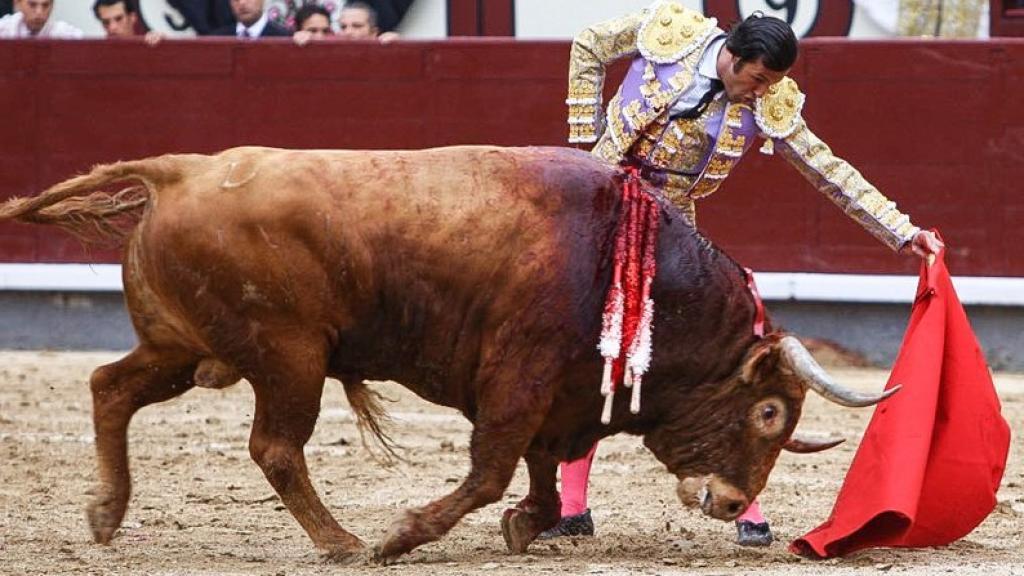 Natural de David Mora