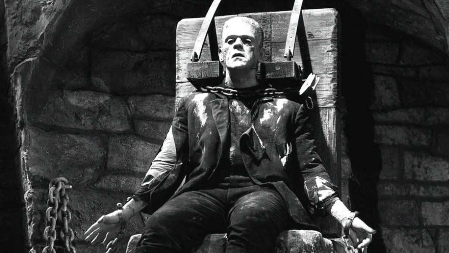 “’Frankenstein’ no ofrece respuestas, sólo preguntas que son absolutamente actuales”.