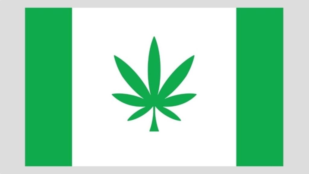 La nueva bandera de Kanepi.