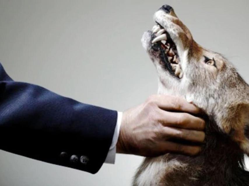 Matar a la mascota para dañarla a ella: así son los maltratadores más cobardes