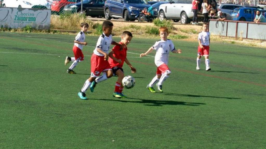 zamora futbol infantil elvira fernandez (2)