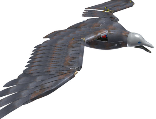drone pajaro 1