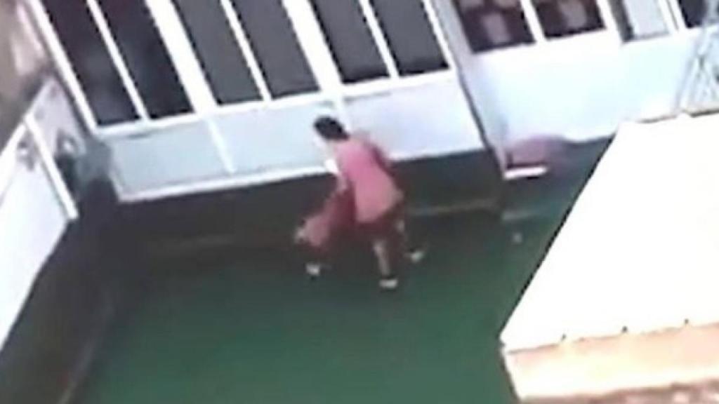 Pantallazo del vídeo con los maltratos infantiles.