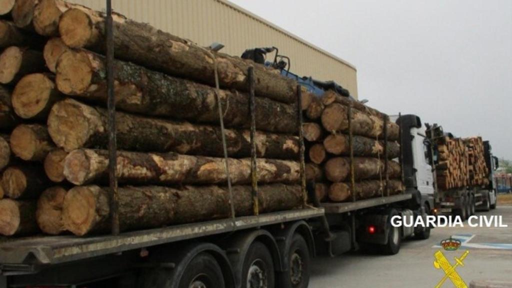 Burgos-camion-tronco-arboles-guardia-civil