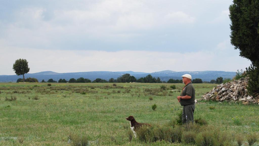Francisco López, delegado de Perros de Muestra y Caza San Huberto de la RFEC, haciendo una demostración con uno de sus canes. / Laura Chaparro.