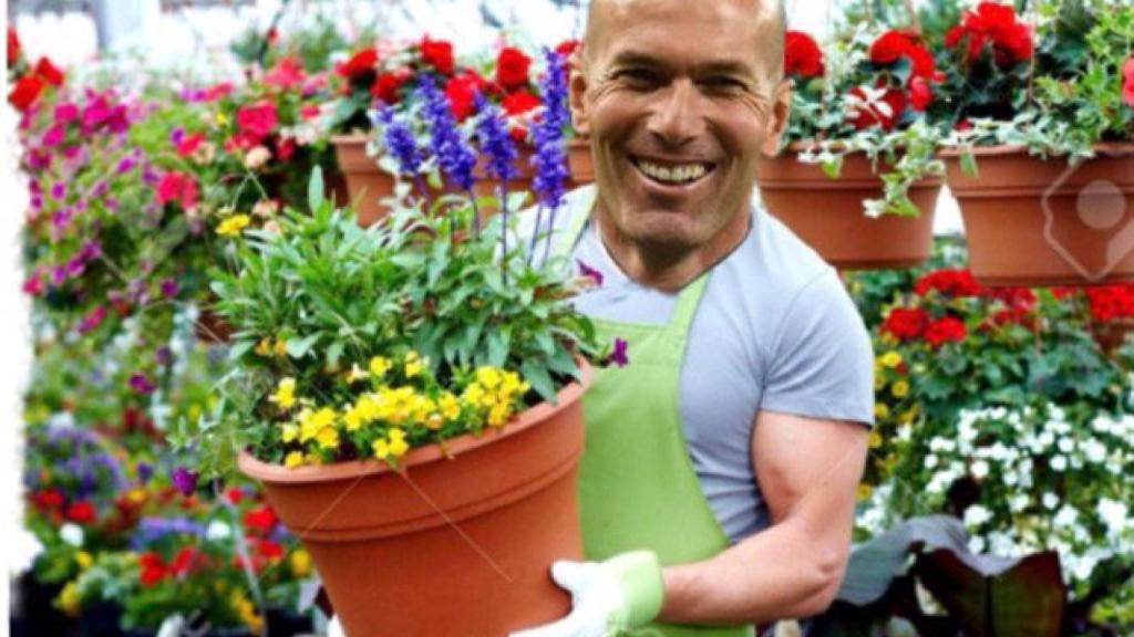 Trending-topic-memes-zidane