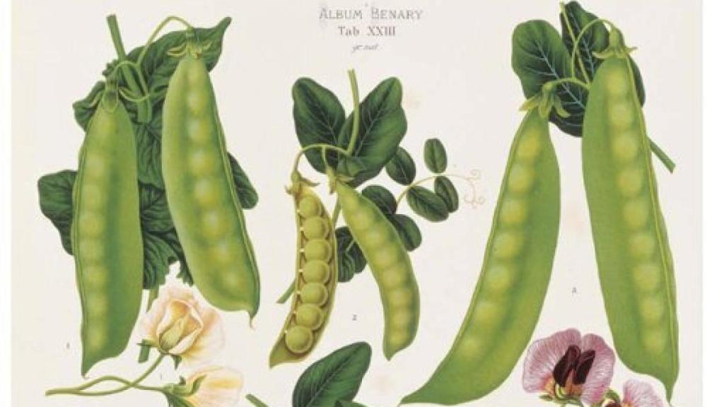 Image: Los ritmos del cambio científico