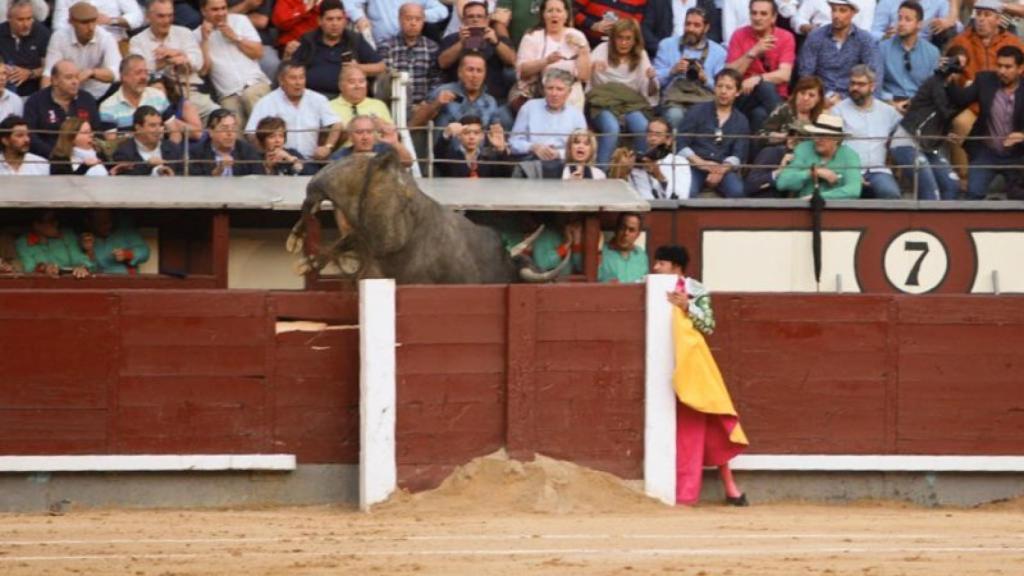 El toro 'Taponero' saltando al callejón