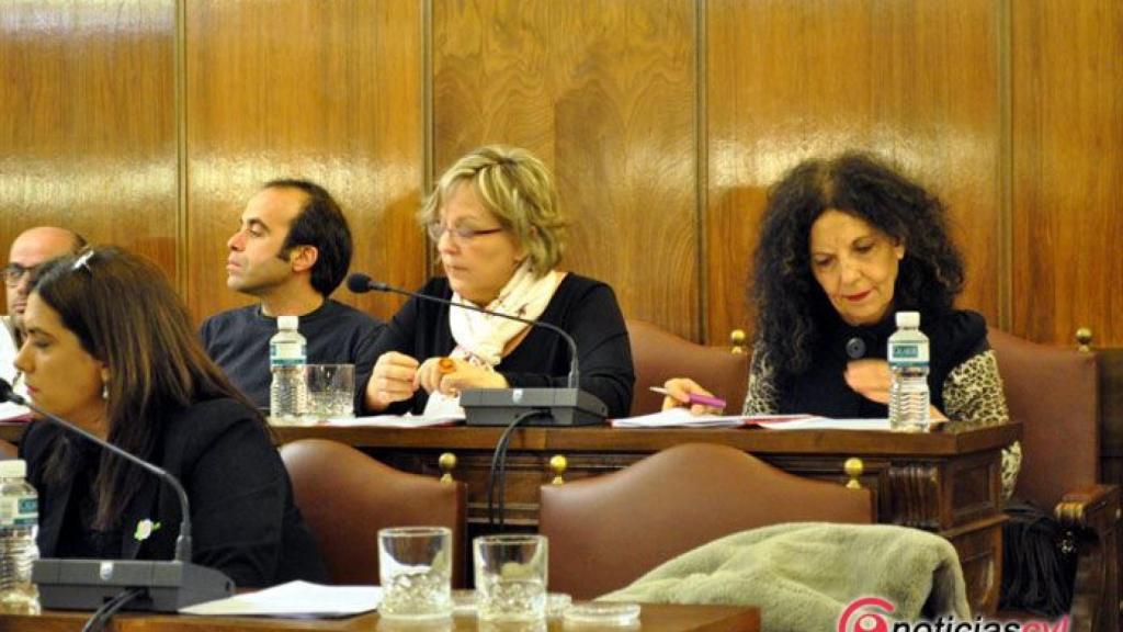 zamora pleno diputacion (4)