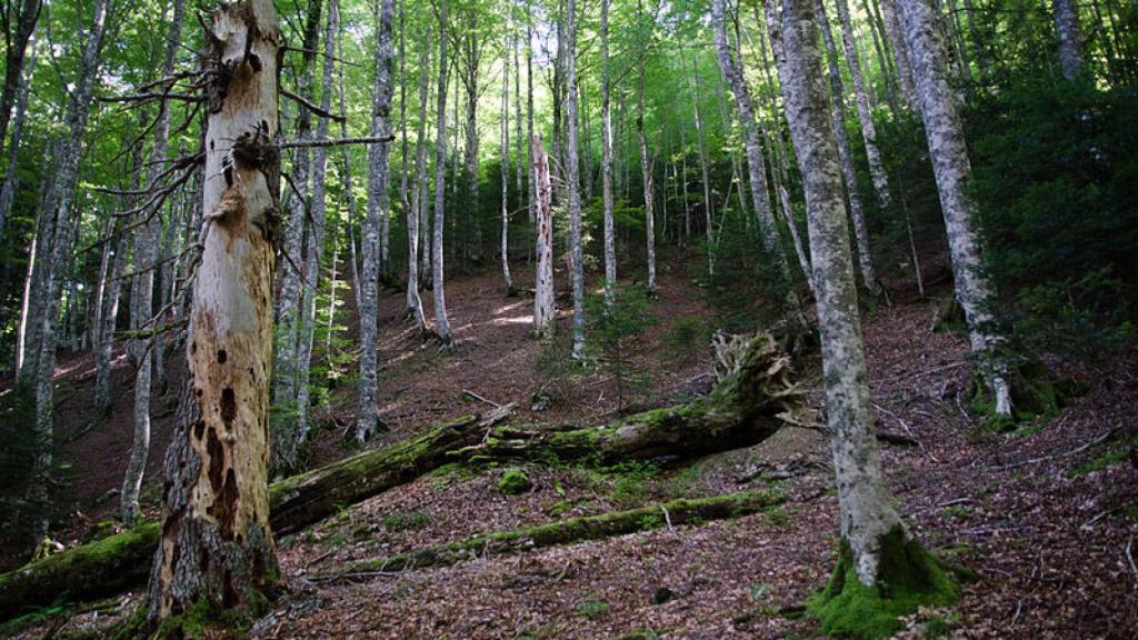 Reserva Integra de Aztaparreta.