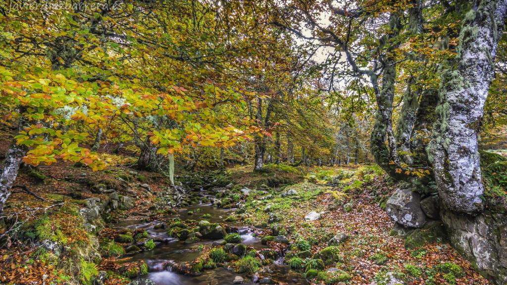 Vega de Salambre, inicio de Cuestafría.