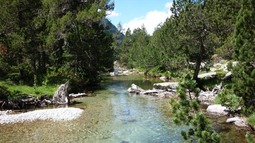 El planell d'Aigüestortes