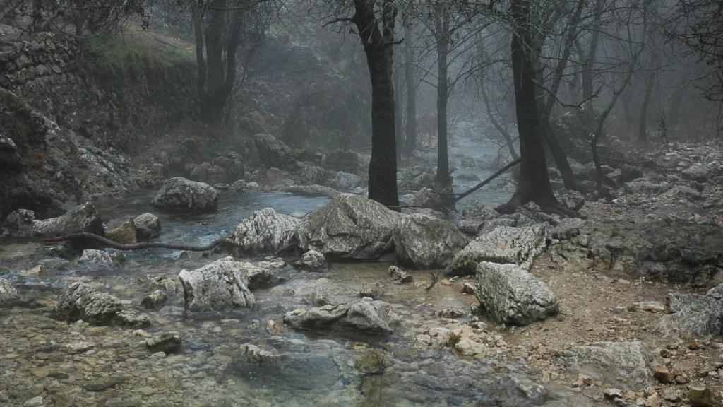 'Desasosiego'. En la Cañada de las Fuentes del monte de Poyo de Santo Domingo.
