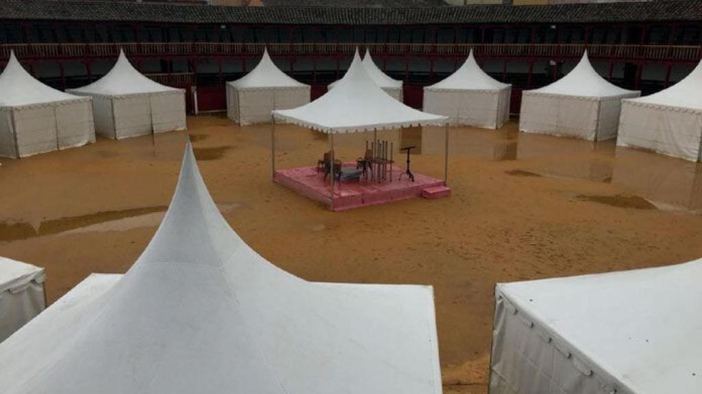 zamora Toro plaza de toros luvias (2)
