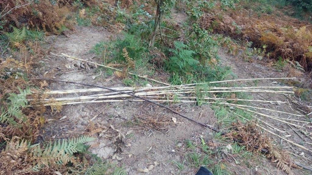 Algunas de las trampas que pueblan los montes gallegos.