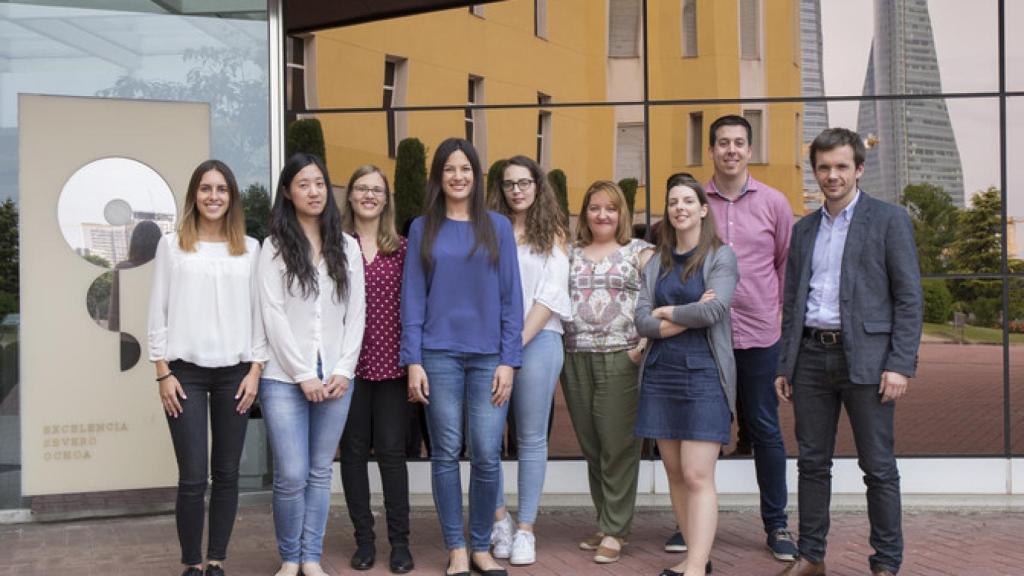 Grupo de Metástasis Cerebral del CNIO, liderado por Manuel Valiente (primero por la izquierda). / CNIO